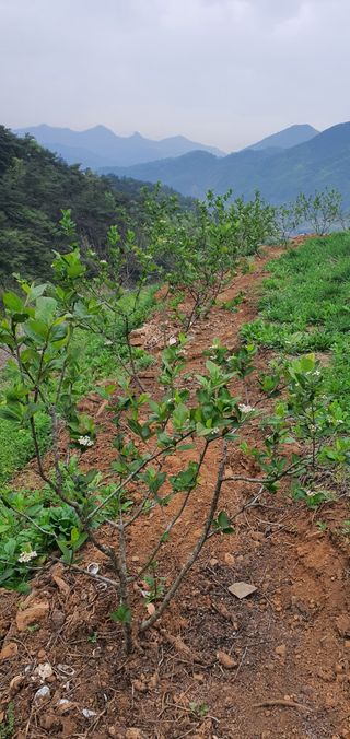 최기덕님의 자유주제 · 자유게시판 작성글 사진