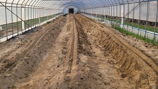 건달 농장(최승혁)님의 자유주제 · 자유게시판 작성글 사진