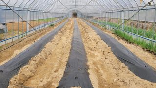 건달 농장(최승혁)님의 자유주제 · 자유게시판 작성글 사진