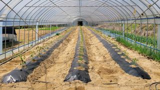 건달 농장(최승혁)님의 자유주제 · 자유게시판 작성글 사진