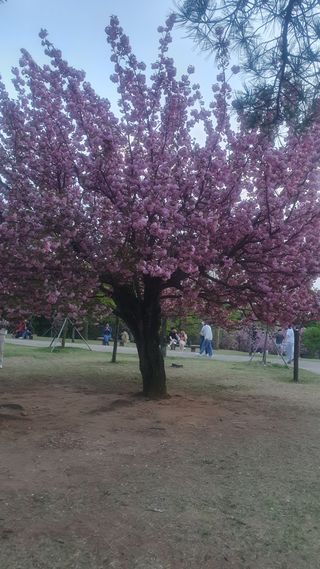 박철규 님의 자유주제 · 자유게시판 작성글 사진