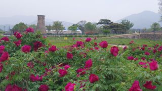 박철규 님의 자유주제 · 자유게시판 작성글 사진