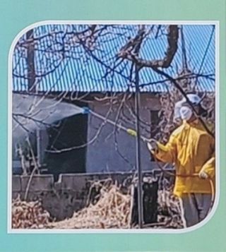 조수철님의 작성글 사진