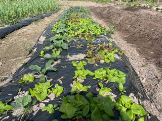도곡님의 자유주제 · 자유게시판 작성글 사진