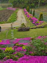 팜모닝 자유주제·자유게시판 게시글 이미지