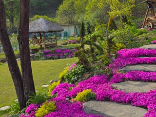이종영님의 자유주제 · 자유게시판 작성글 사진