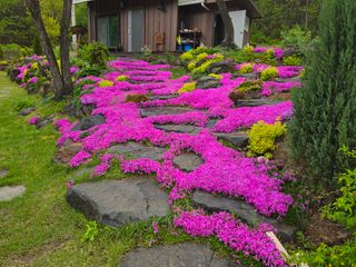 이종영님의 자유주제 · 자유게시판 작성글 사진