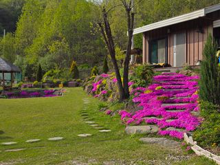 이종영님의 자유주제 · 자유게시판 작성글 사진