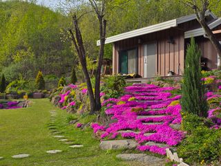 이종영님의 자유주제 · 자유게시판 작성글 사진