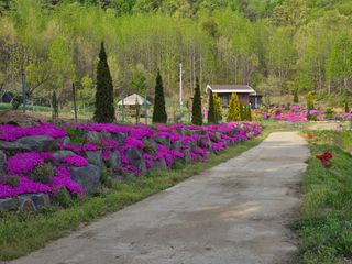 이종영님의 자유주제 · 자유게시판 작성글 사진