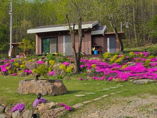 이종영님의 자유주제 · 자유게시판 작성글 사진