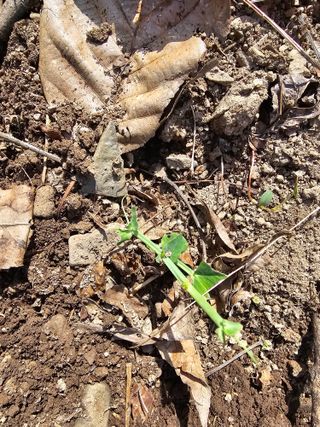 farmer님의 자유주제 · 자유게시판 작성글 사진