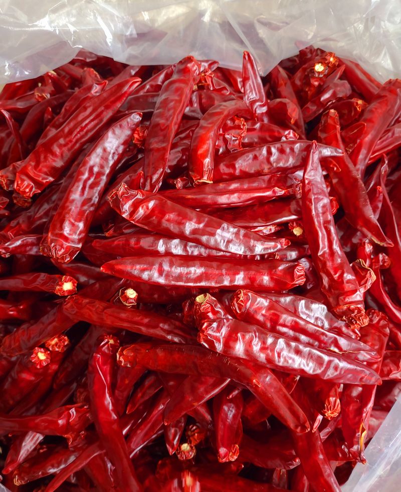 윤인석님의 장터 판매 상품 [청양고춧가루 20근(판매완료)] 첨부 사진