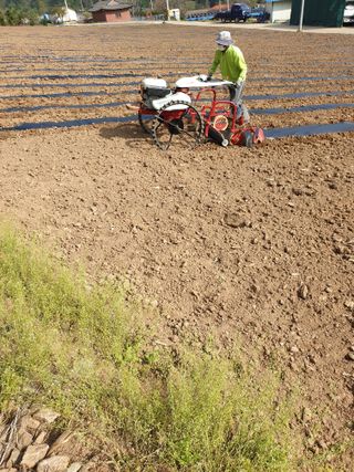 김미정님의 최근에 산 것 자랑하기 · 참여글 작성글 사진