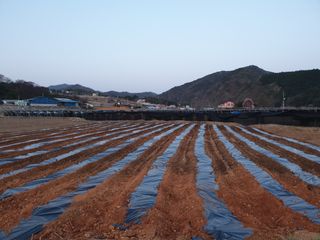 김미정님의 최근에 산 것 자랑하기 · 참여글 작성글 사진