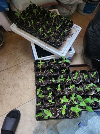 황복덕님의 최근에 산 것 자랑하기 · 참여글 작성글 사진