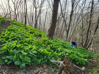 허상원 님의 자유주제 · 사진전 작성글 사진