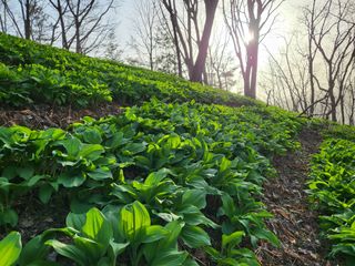 허상원 님의 자유주제 · 사진전 작성글 사진