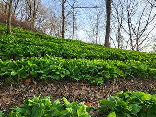 허상원 님의 자유주제 · 사진전 작성글 사진