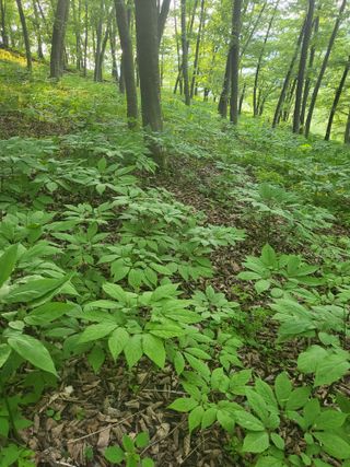허상원 님의 자유주제 · 사진전 작성글 사진
