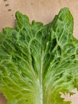 팜모닝 자유주제·자유게시판 게시글 이미지