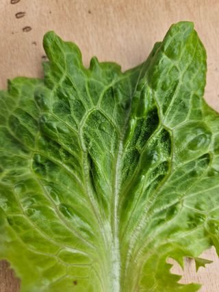 이정수님의 자유주제 · 자유게시판 작성글 사진