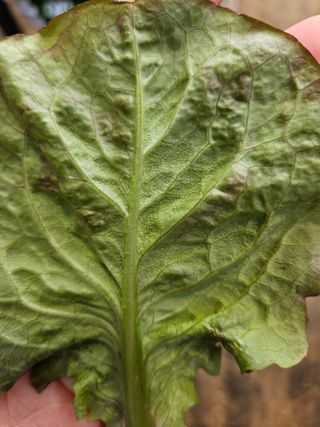 이정수님의 자유주제 · 자유게시판 작성글 사진