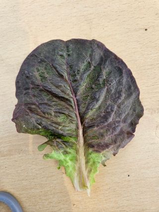 이정수님의 자유주제 · 자유게시판 작성글 사진