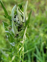 팜모닝 자유주제·자유게시판 게시글 이미지