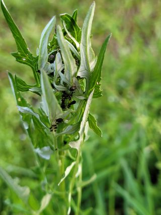 아산귀농인님의 자유주제 · 자유게시판 작성글 사진