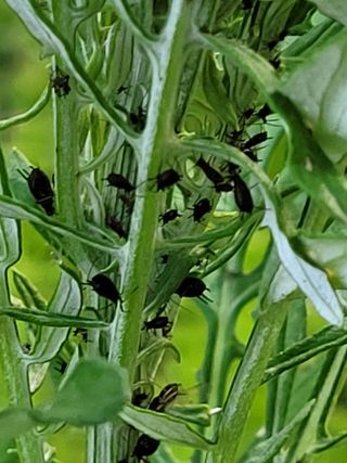 아산귀농인님의 자유주제 · 자유게시판 작성글 사진