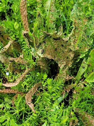 아산귀농인님의 자유주제 · 자유게시판 작성글 사진