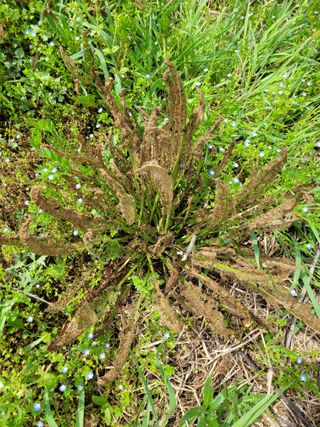 아산귀농인님의 자유주제 · 자유게시판 작성글 사진