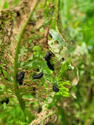 아산귀농인님의 자유주제 · 자유게시판 작성글 사진