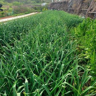 ,kim님의 자유주제 · 사진전 작성글 사진