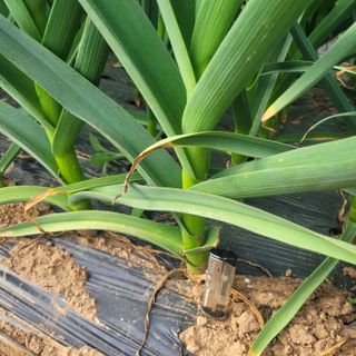 ,kim님의 자유주제 · 사진전 작성글 사진