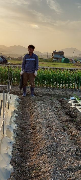 이경옥님의 고추 · 영농일지 작성글 사진