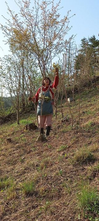 인생은 소풍처럼님의 자유주제 · 자유게시판 작성글 사진