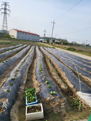 박순례님의 최근에 산 것 자랑하기 · 참여글 작성글 사진