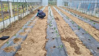 사과20730님의 자유주제 · 사진전 작성글 사진