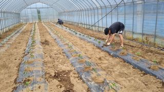 사과20730님의 자유주제 · 사진전 작성글 사진