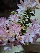 팜모닝 자유주제·자유게시판 게시글 이미지