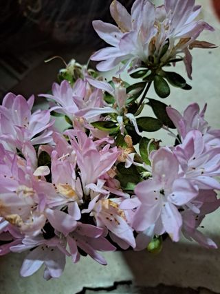 신한숙님의 자유주제 · 자유게시판 작성글 사진