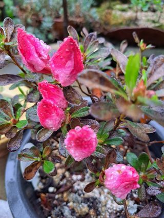 신한숙님의 자유주제 · 자유게시판 작성글 사진