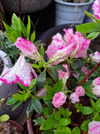 신한숙님의 자유주제 · 자유게시판 작성글 사진