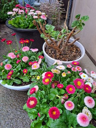 신한숙님의 자유주제 · 자유게시판 작성글 사진