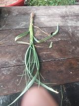 팜모닝 농사, 무엇이든 물어보세요!·참여글 게시글 이미지