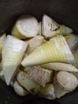 팜모닝 자유주제·자유게시판 게시글 이미지