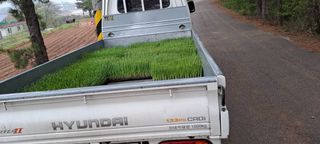 이문희님의 파 · 영농일지 작성글 사진