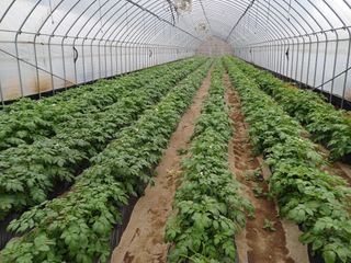 고영호님의 자유주제 · 자유게시판 작성글 사진